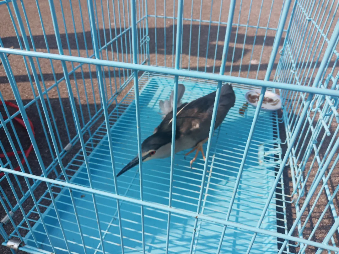 什么是快乐星球（什么是快乐星球？）