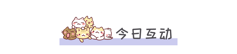 最容易饲养的3种猫咪，养到的人都在偷着乐呢