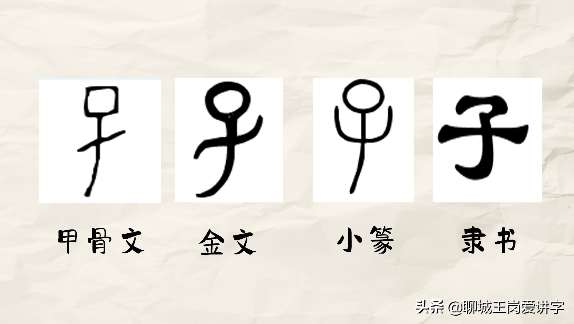 zhongӤĳ -Ѷ