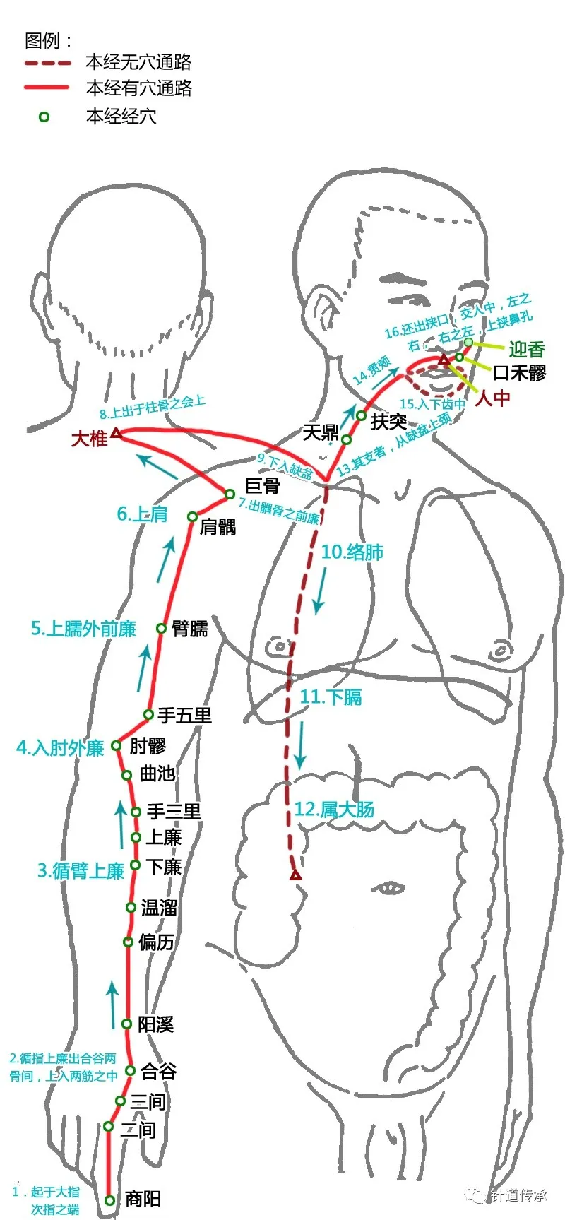 十二经脉太难记？请看这篇十二经脉解读汇总。内附歌诀、高清大图