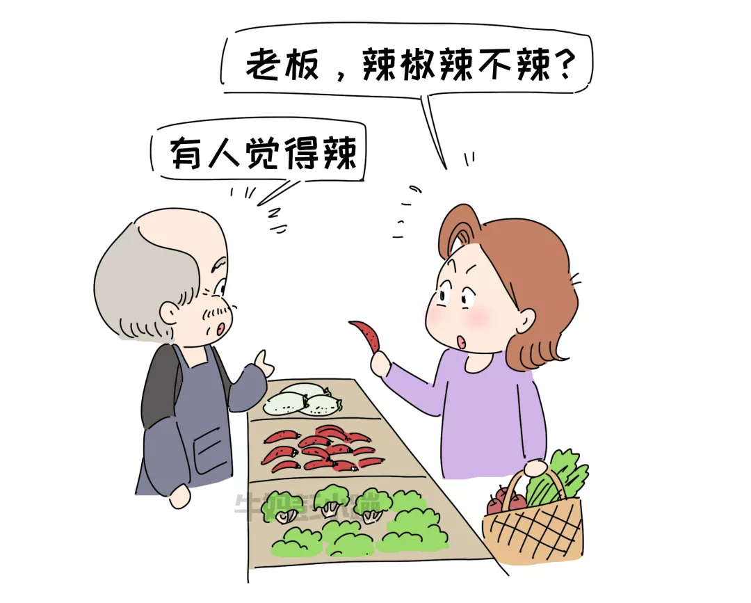 老大私立学校，老二公立学校，谈谈两者的差异和优势