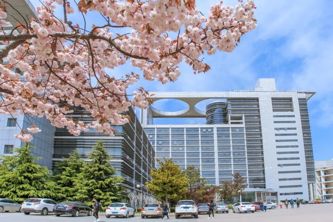 权威发布｜中国石油大学（华东）2020年招生章程