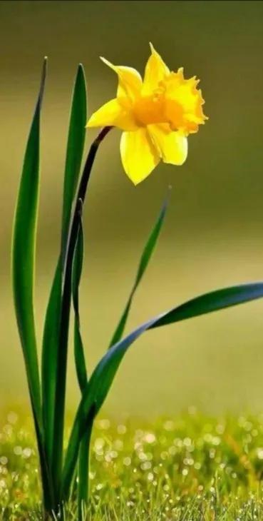 妈妈，我们总是把你藏在你的心里。