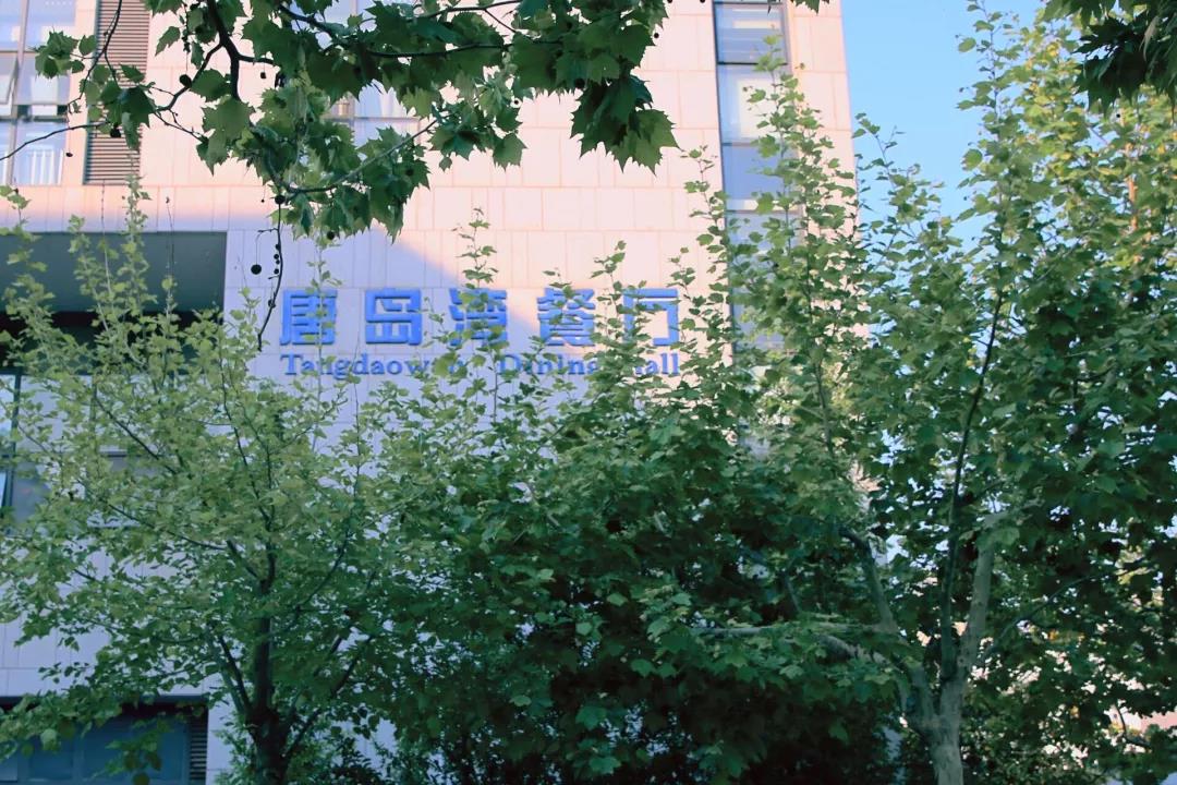 宝藏图书馆、网红食堂、四季如画的超美校园！中国石油大学（华东）等你回家