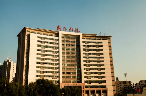 湖 北 高 职 综 合 实 力 排 行 榜