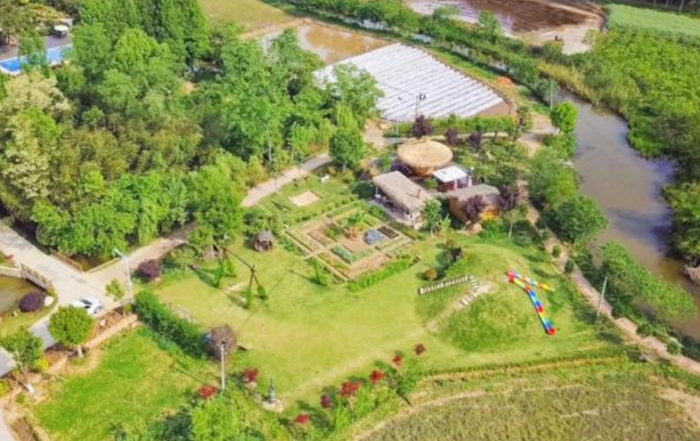 腾讯“元老”魏震：赚够钱后辞职，携妻儿退隐山林，每日喝茶种地