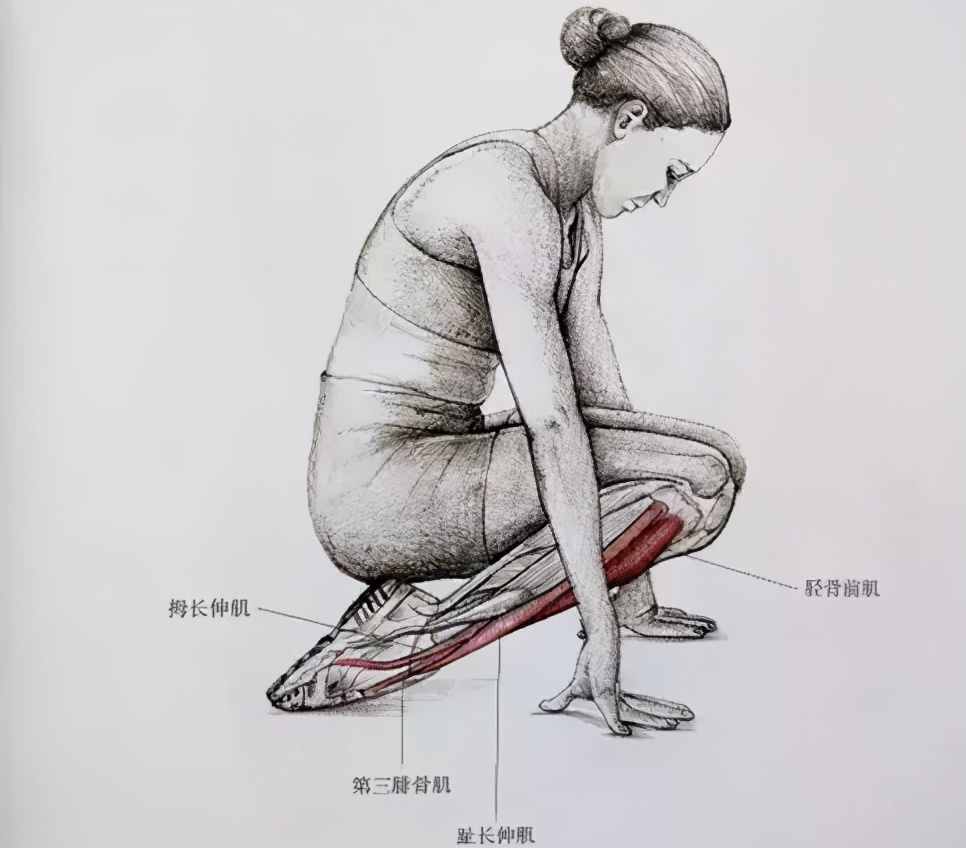 深蹲是健身动作之王，小腿状态不良有点儿难办，锻炼内容需微调