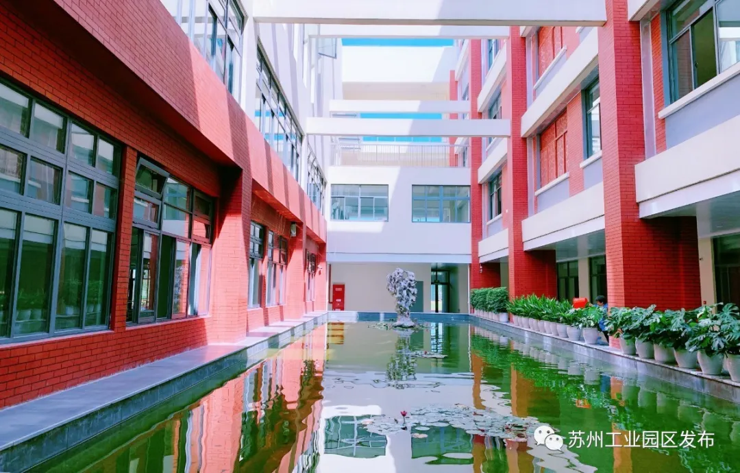 喜迎开学季，园区这些新校启用