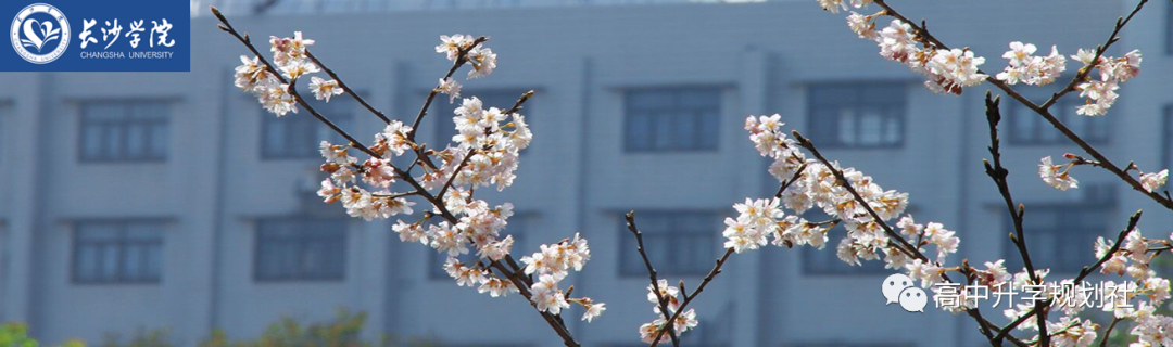 D41：湖南省这些公办本科大学容易考，比很多民办大学好！