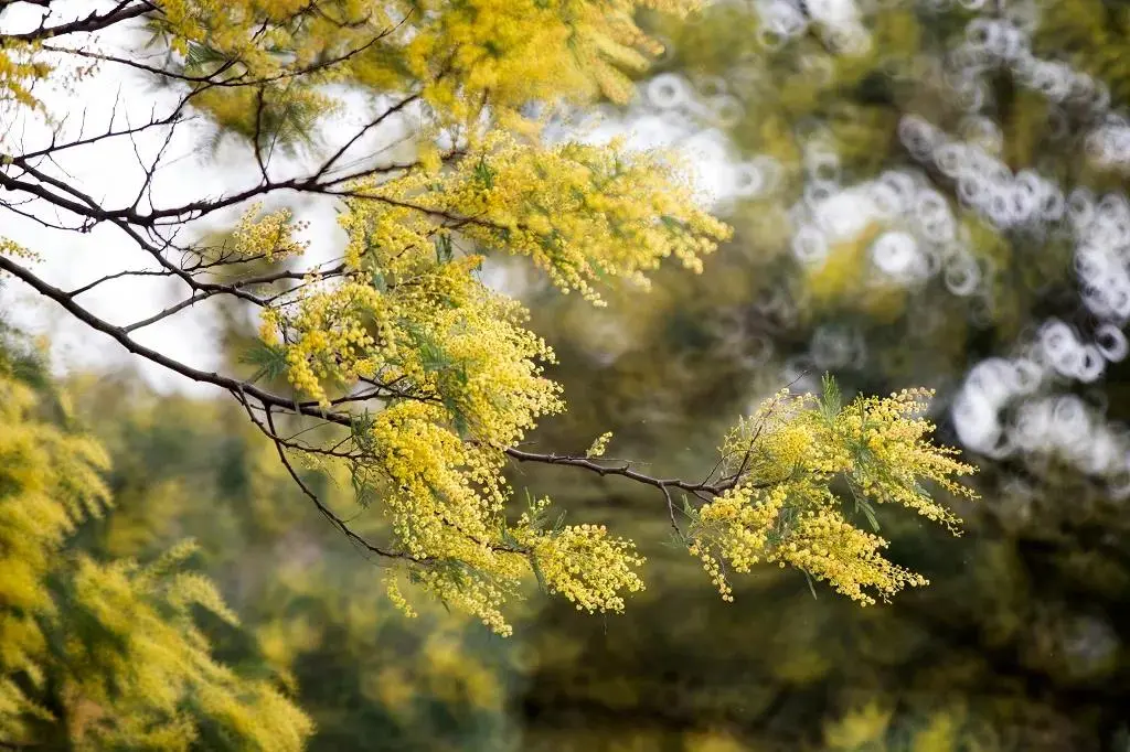 国家级一流！厉害了我的云南农大