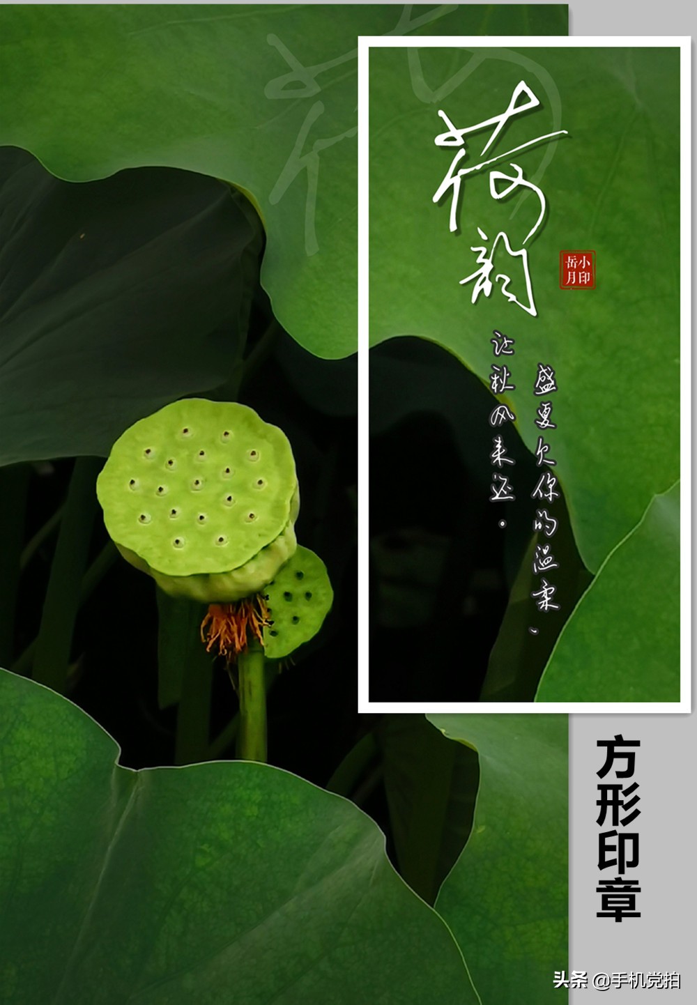 给照片加水印｜教你手机制作2种“仿古小印章”，很国风