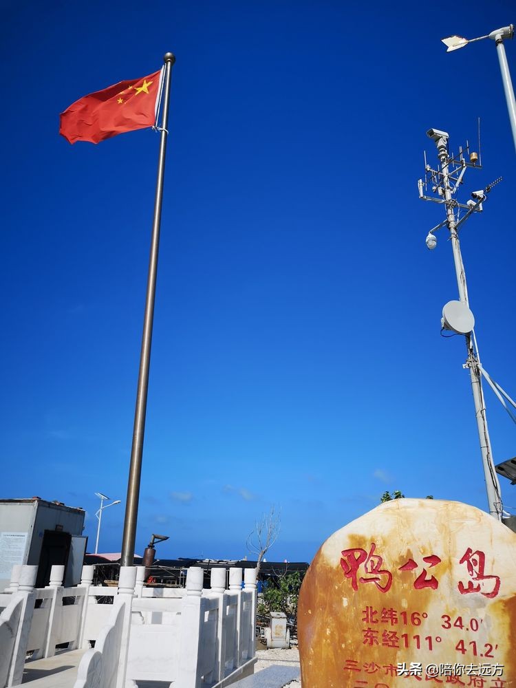西沙~南海中的一片莲