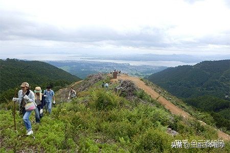 「赴日留学」设有摄影专业的大学（学部）