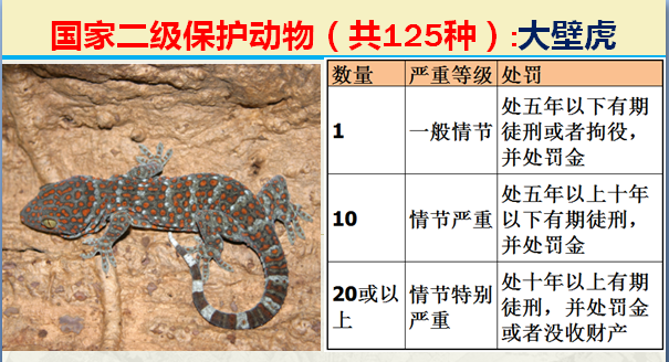 国家保护动物分几个等级（125类二级野生保护名录）