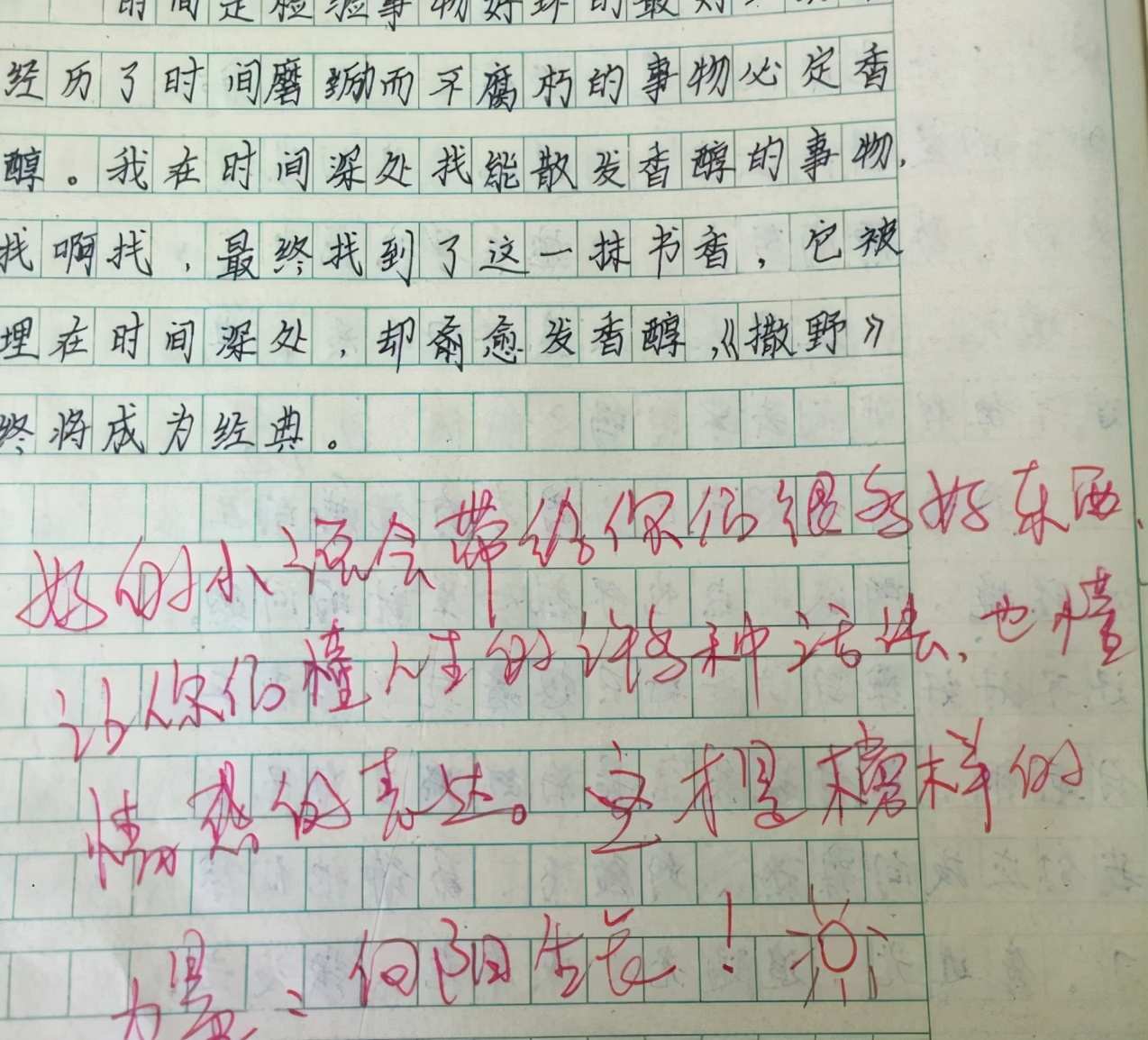 小学生写《撒野》读后感惹争议，老师看后尴尬回应：这分我没发给