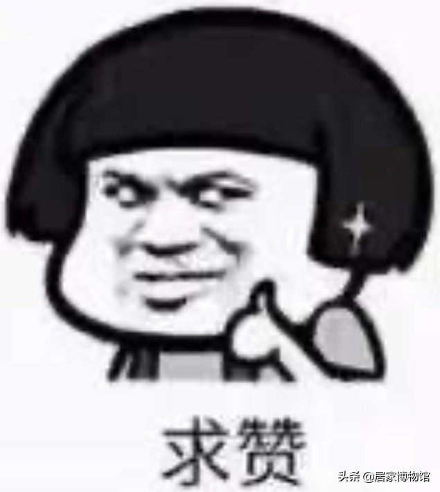 这个学生宿舍太治愈！如何把寝室打造的和家里一样舒服？