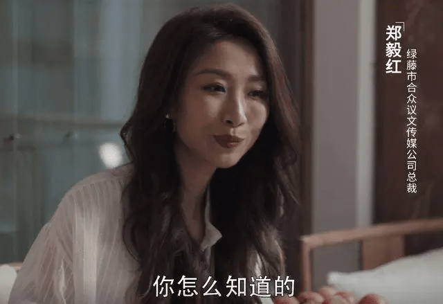 扫黑风暴孙红雷内容简介(孙红雷力荐妻子出演,成为"大反派"之一,和