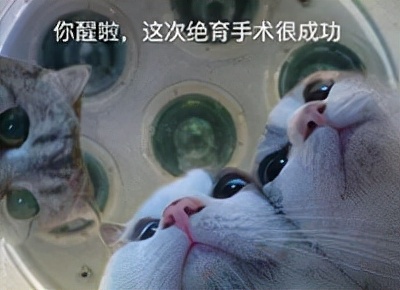 再见了，避孕套！睾丸热疗、磁控避孕，终于要对男人下手了吗？