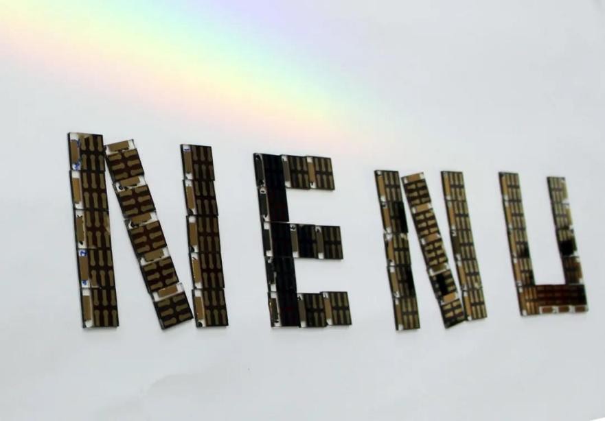 聚焦全球危机！东北一高校连出重磅成果，获国际关注