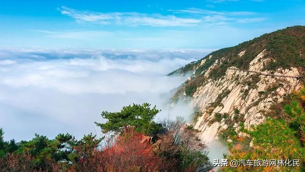 等了一年！沂蒙山上最美秋色，惊艳上线