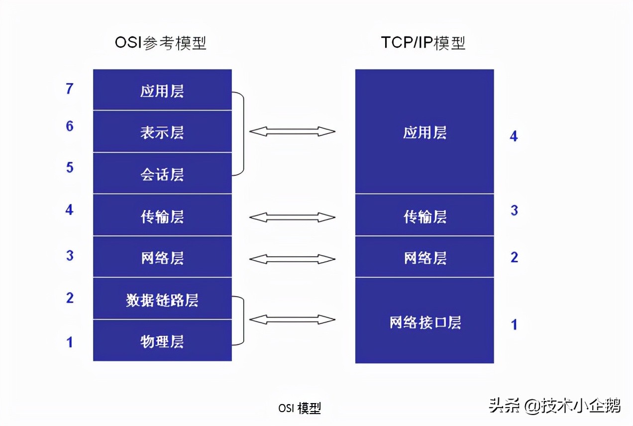 通俗易懂地带你了解我们的网络osi七层模型