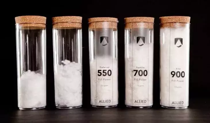 七八千一件的加拿大鹅到底贵在哪?