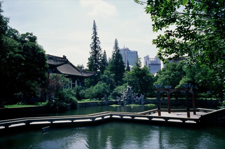 刘芳美术245分预估文化520分，能被南京师范大学录取吗？