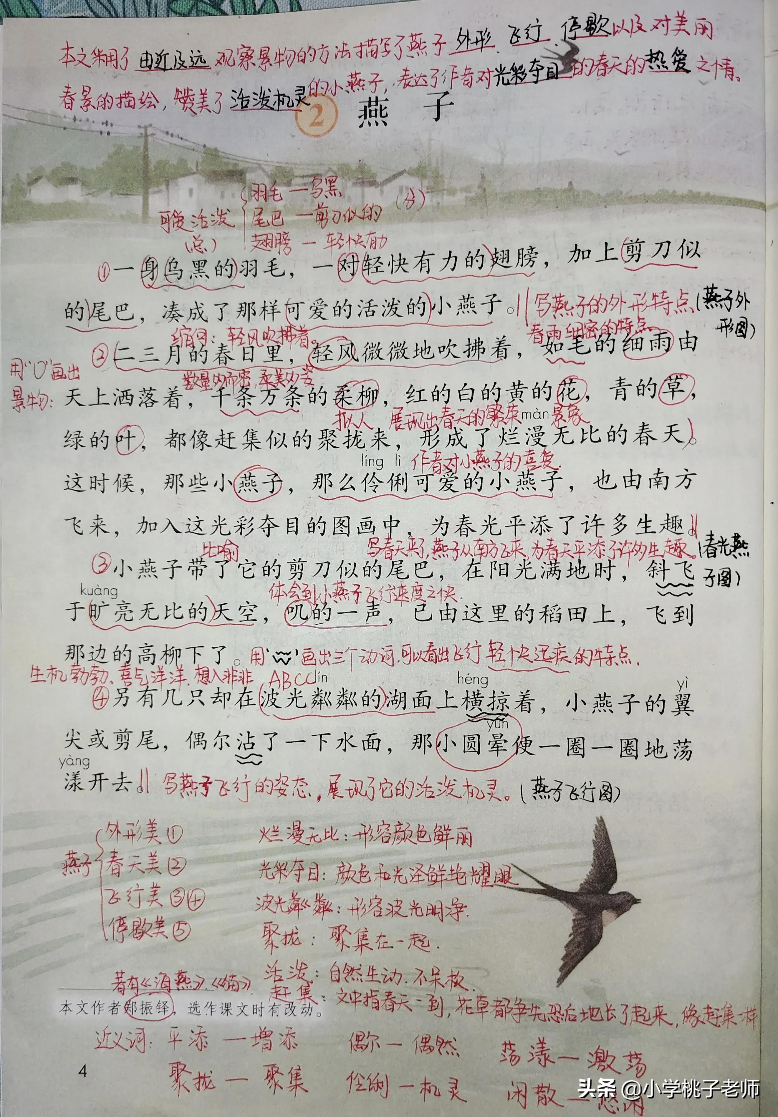 三年级语文《燕子》,一边读一边体会优美的画面