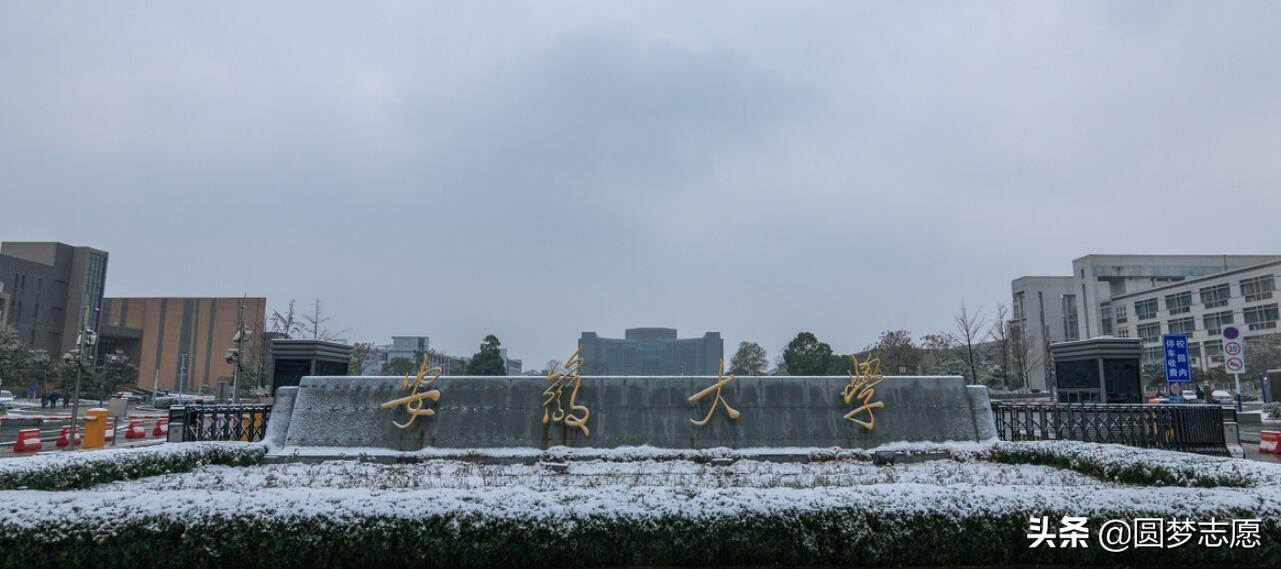 安徽大学全国排名（安徽大学最热门的专业排名）