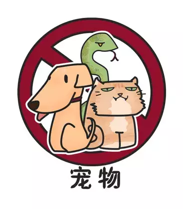 鼓浪屿春节登岛全攻略,再不买票春节没法上岛了