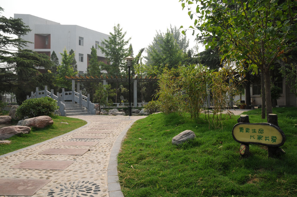 卫辉一中2017高考成绩（河南省新乡市）