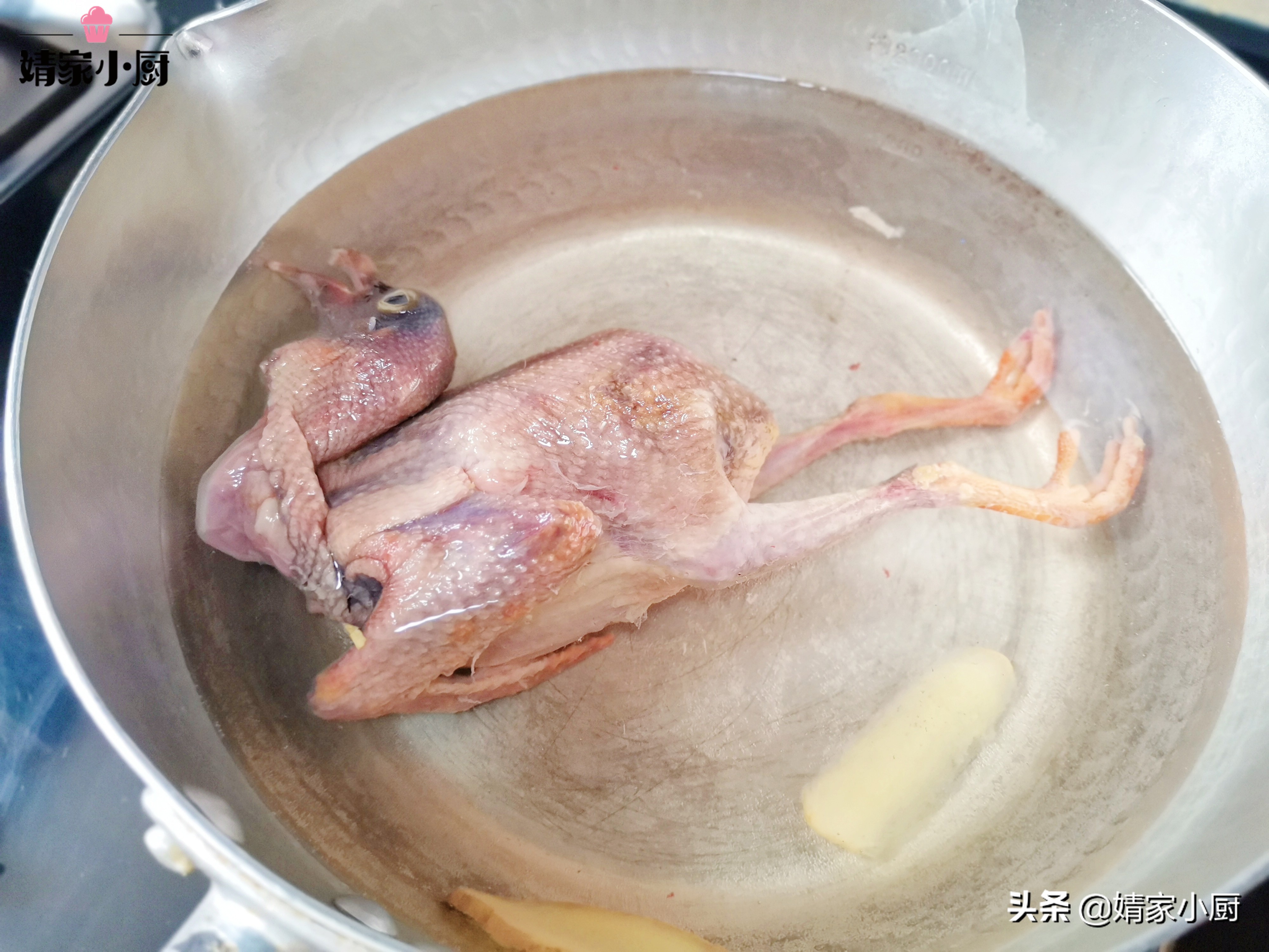 “鸽子汤”怎么炖才最滋补，掌握这个做法，肉嫩汤鲜营养翻倍