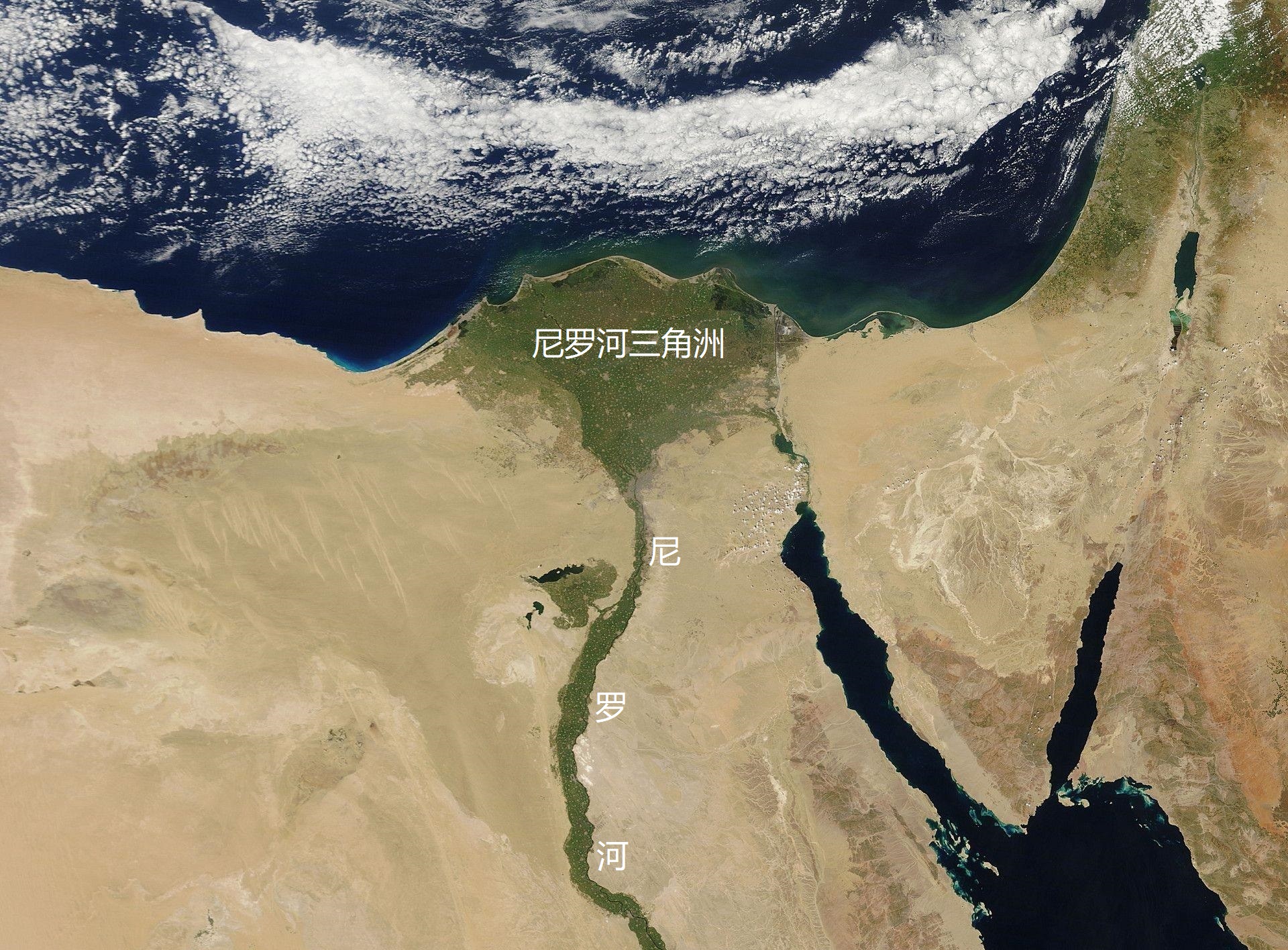 尼罗河在哪个国家尼罗河在哪个国家的母亲河
