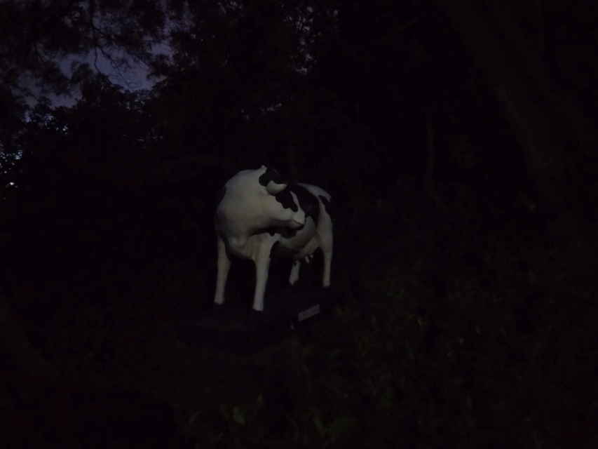 珠海的美毋庸置疑！吉大的由来，你信哪一个