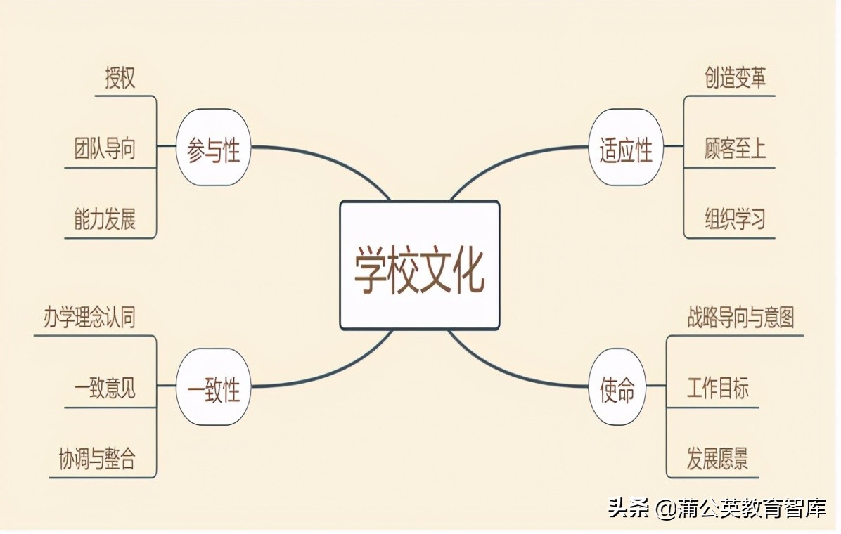 办学最怕灯下黑！学校自我评估需要一套管用的“新工具”