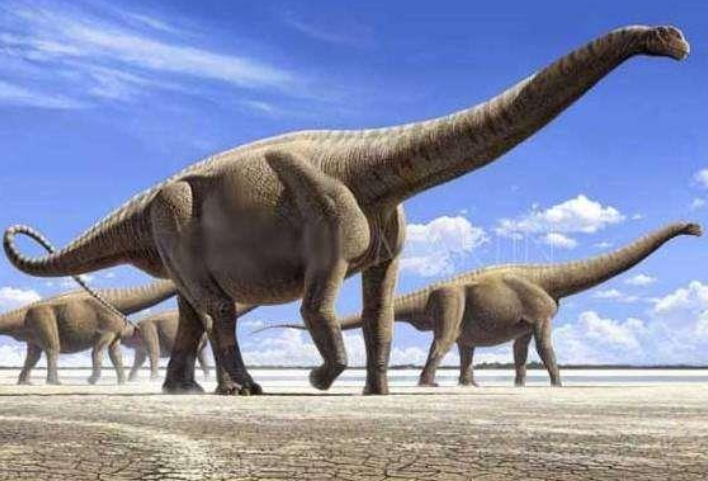 最大的恐龙是哪个，历史上真的有58米长的恐龙吗？