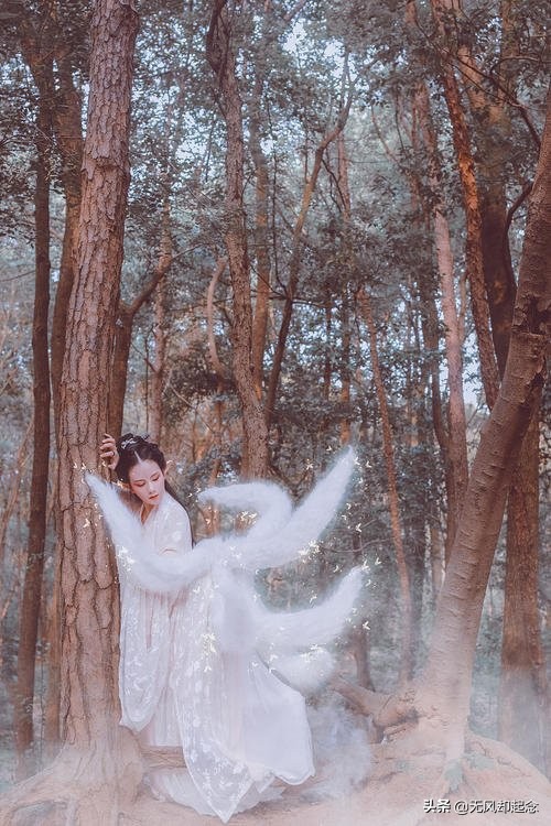 世界上有九尾狐吗(九尾狐都是妲己这样的美女吗)