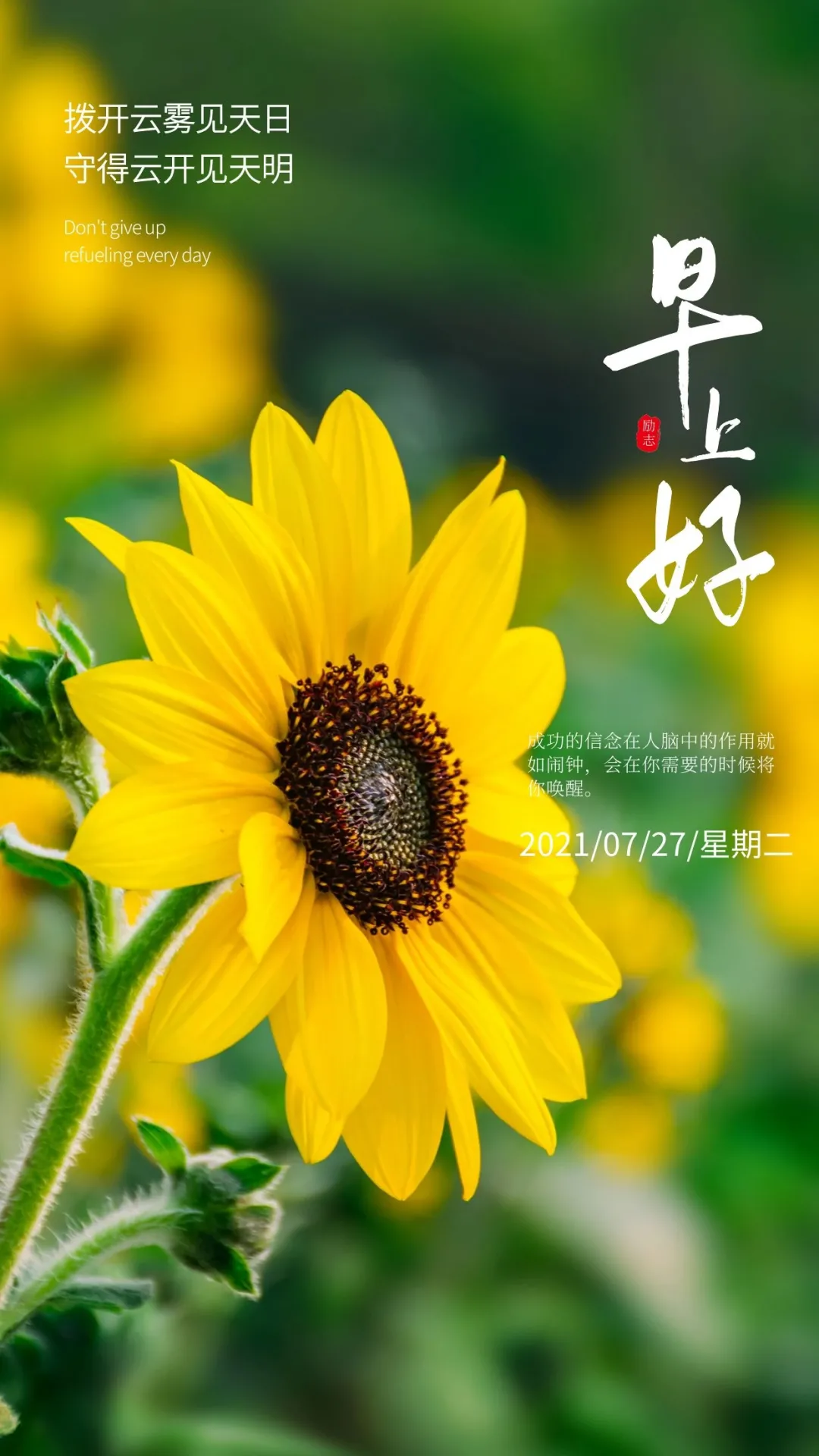 早安问候早上好,今天是2021年7月28日生活中,要像绽放的红梅,傲立霜雪