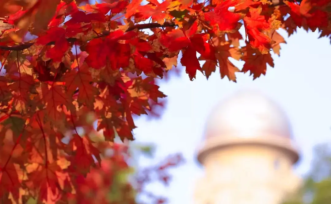 震撼!全国高校最美秋景大PK,哪所高校最最最惊艳?