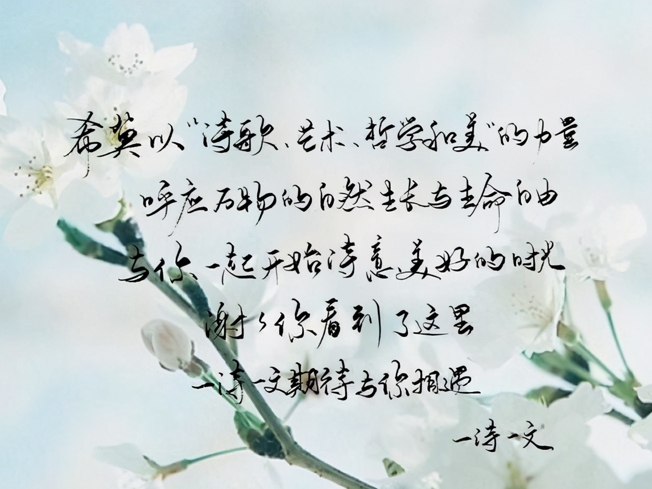 夜色匆忙，暮暮是你