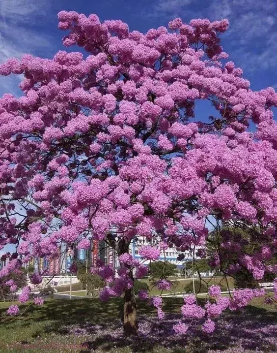 世界极致美景，一睹为快！