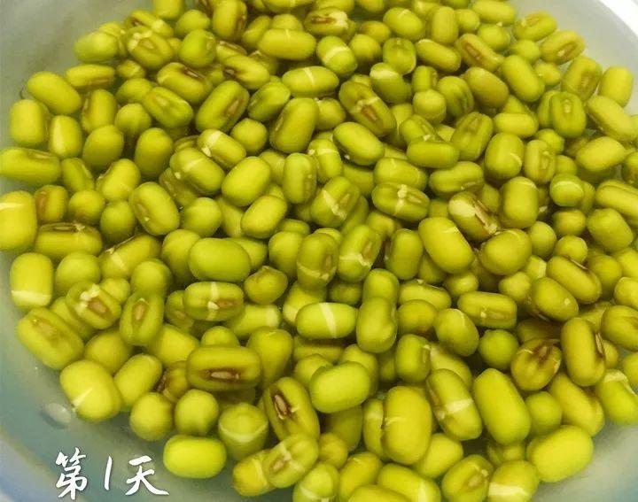 毛豆怎么变成圆的黄豆（毛豆可以变成黄豆吗）-第10张图片-昕阳网