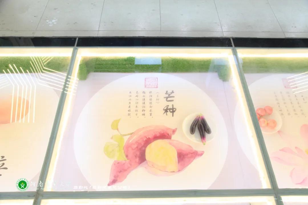 美美美，14000㎡等你发现，农大餐厅焕新啦