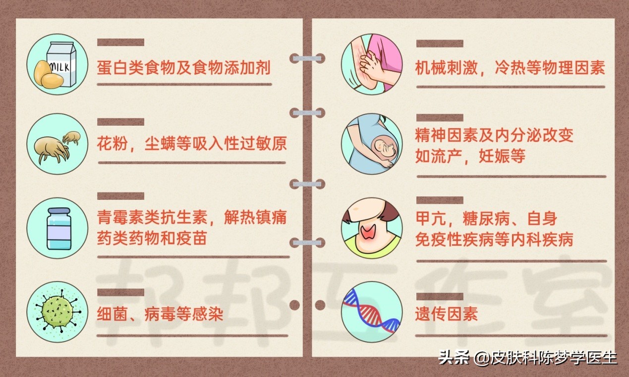 痒！痒！痒！得了荨麻疹，该怎么办？