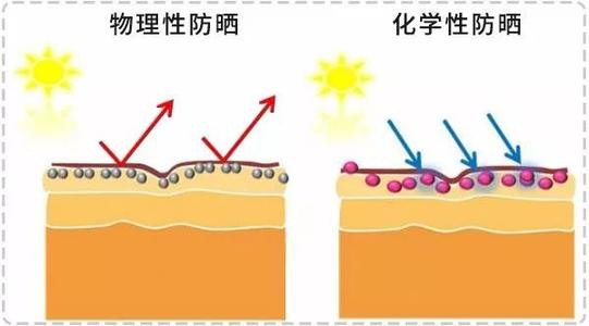 大宝sod蜜成分分析表（大宝sod蜜的有效成分主要是什么）