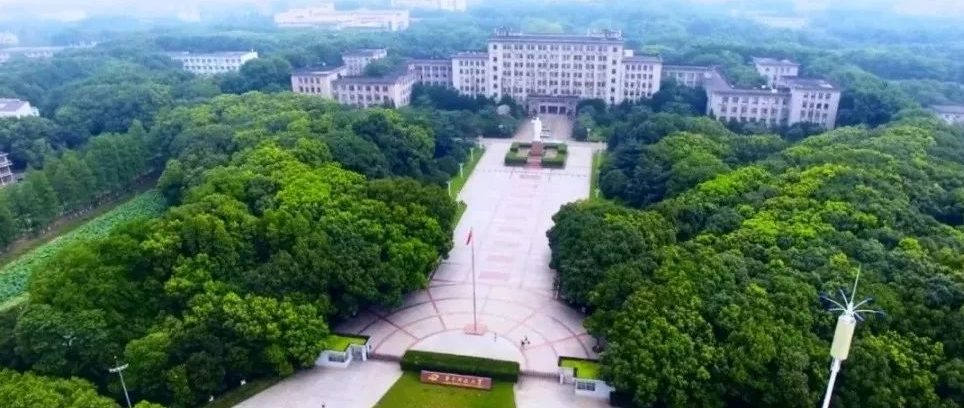 学校面积（学校的面积可以大到什么程度）