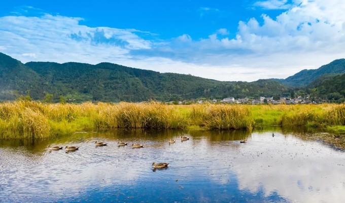 十月一适合宝宝去哪里旅游(十月一带孩子去哪里旅游好玩)