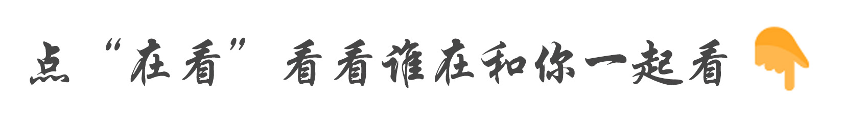 杰森威廉姆斯的个人资料(NBA球员故事，白巧克力杰森.威廉姆斯，他的传球限制了我的想象)