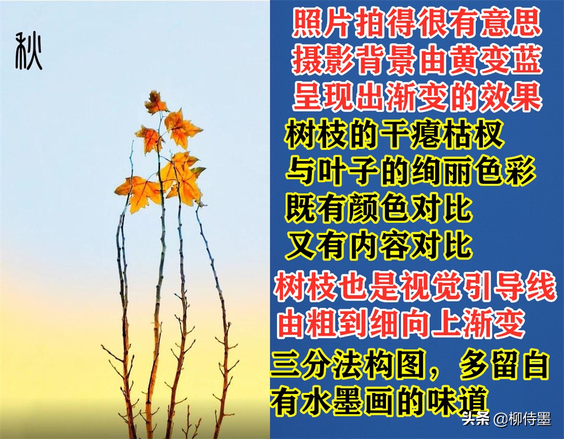 秋天景色美不胜收，每天学点摄影技巧，拍好“一叶知秋”