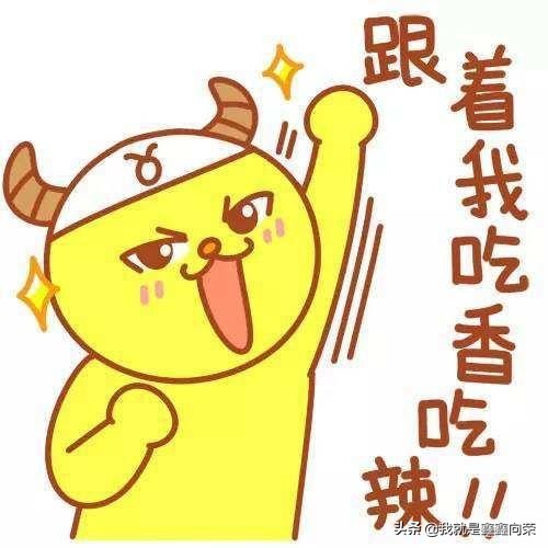 谈射手与十二星座的互动关系，纯粹个人经验，从处女座开始